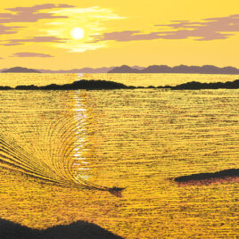 香川県 アーカイブ - 版画家 小暮真望