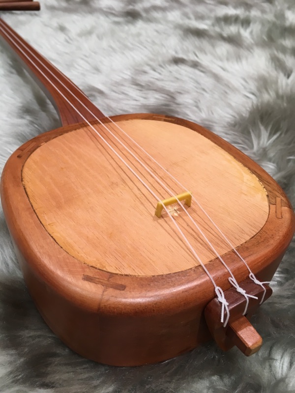 沖縄三線コーナー、とっても賑やかになりました！｜島村楽器 モザイク