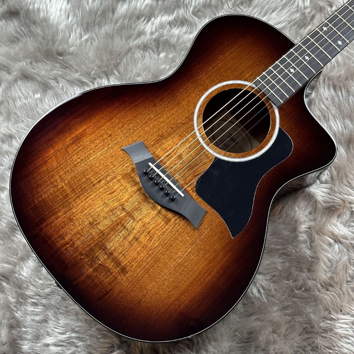 アコースティックギター】Taylorギター多数展示中！｜島村楽器