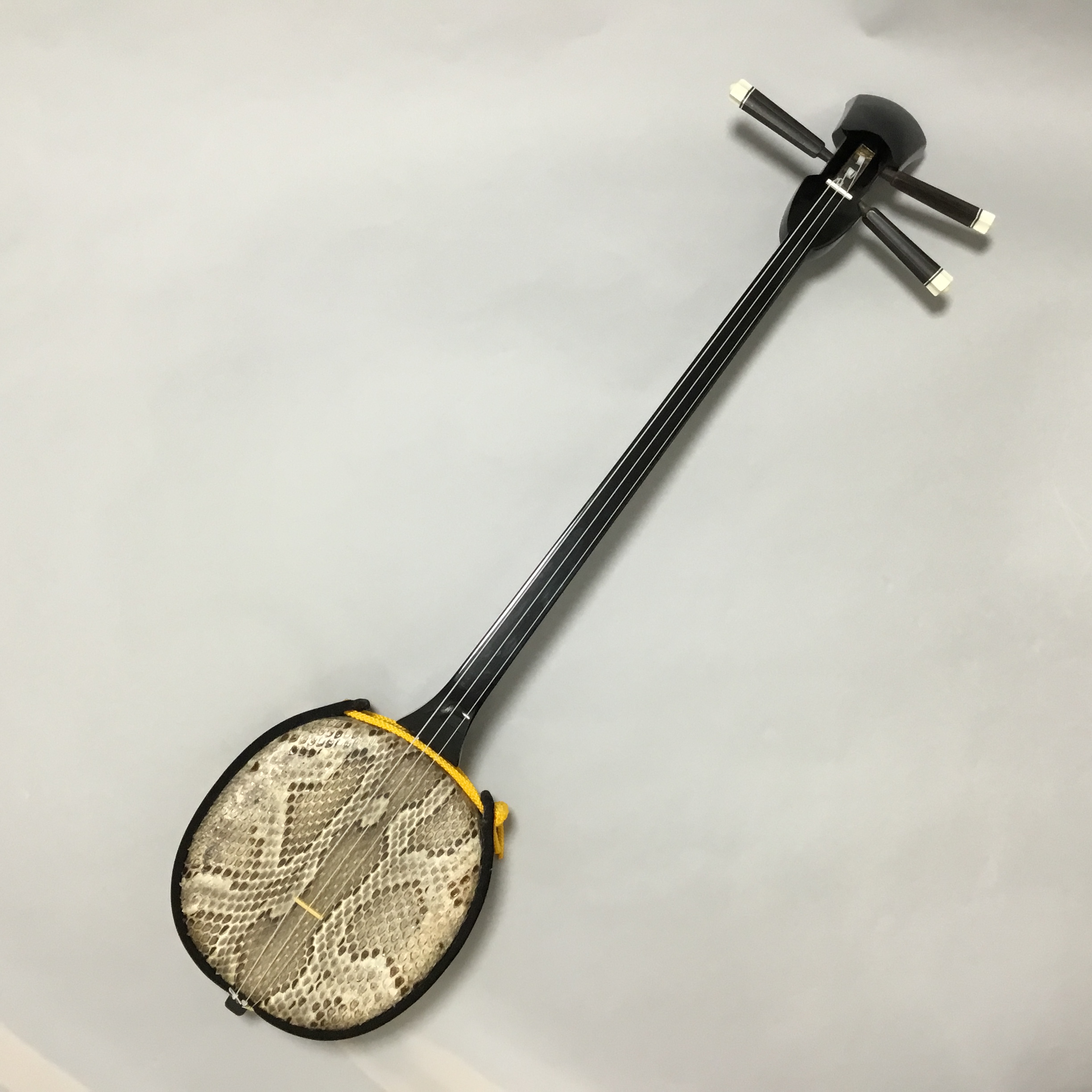 沖縄三線取り扱っています！｜島村楽器 イオンタウンユーカリが丘店