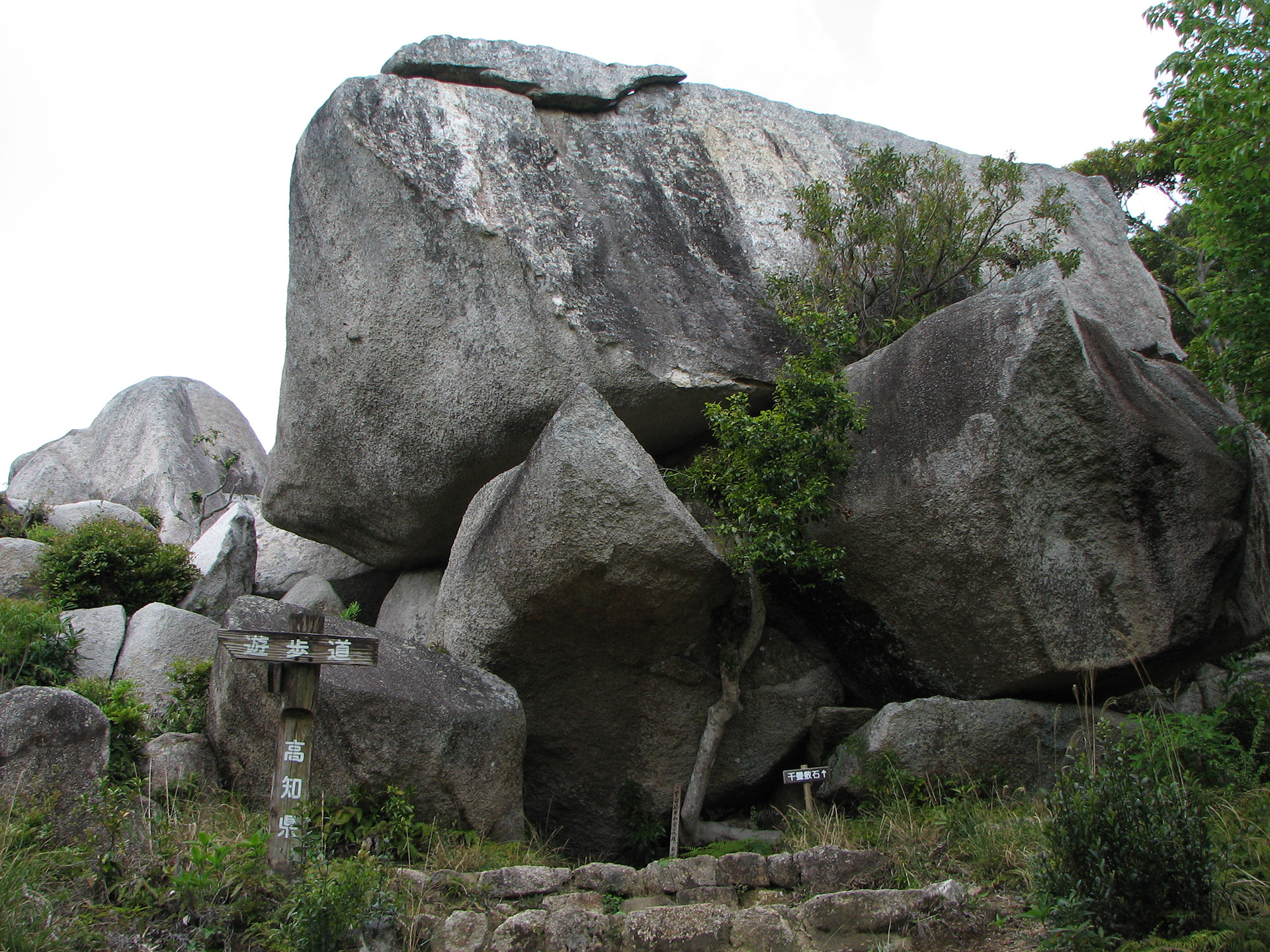 唐人駄場遺跡 | 土佐清水市観光協会