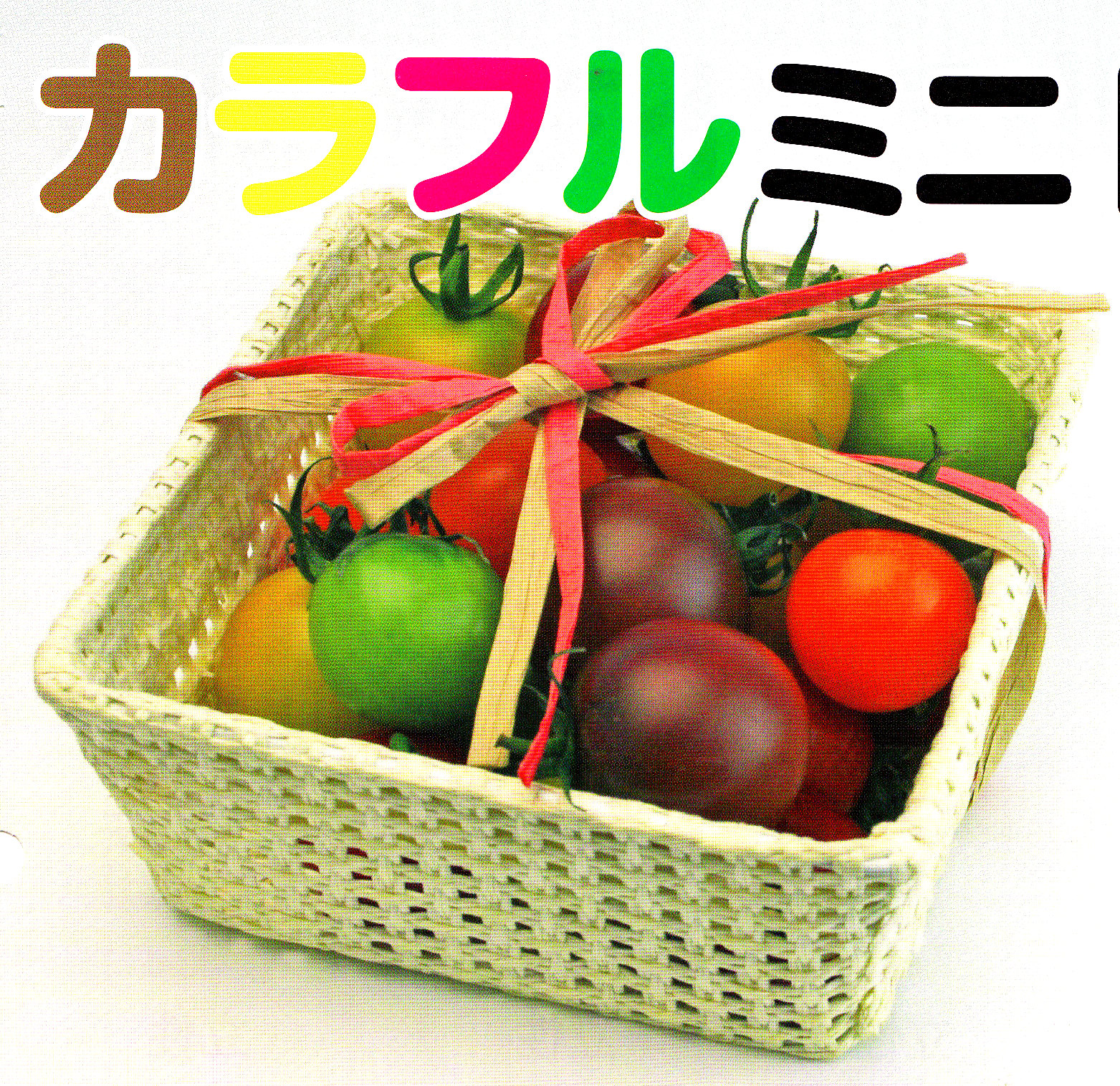 ミニトマト種子】 ダイヤ交配（トキタ種苗） 「カラフルミニトマト」 9