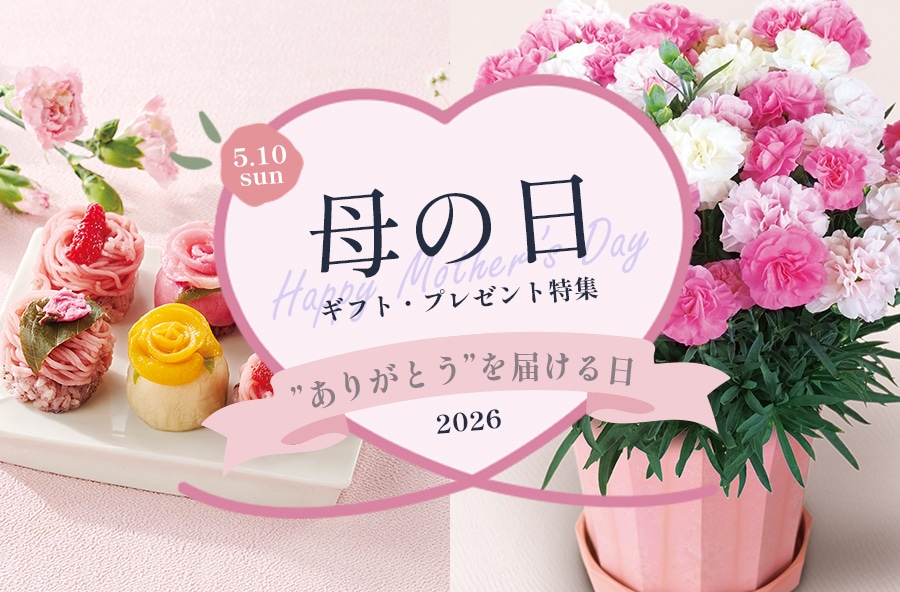 レターパック等の通販｜郵便局のネットショップ