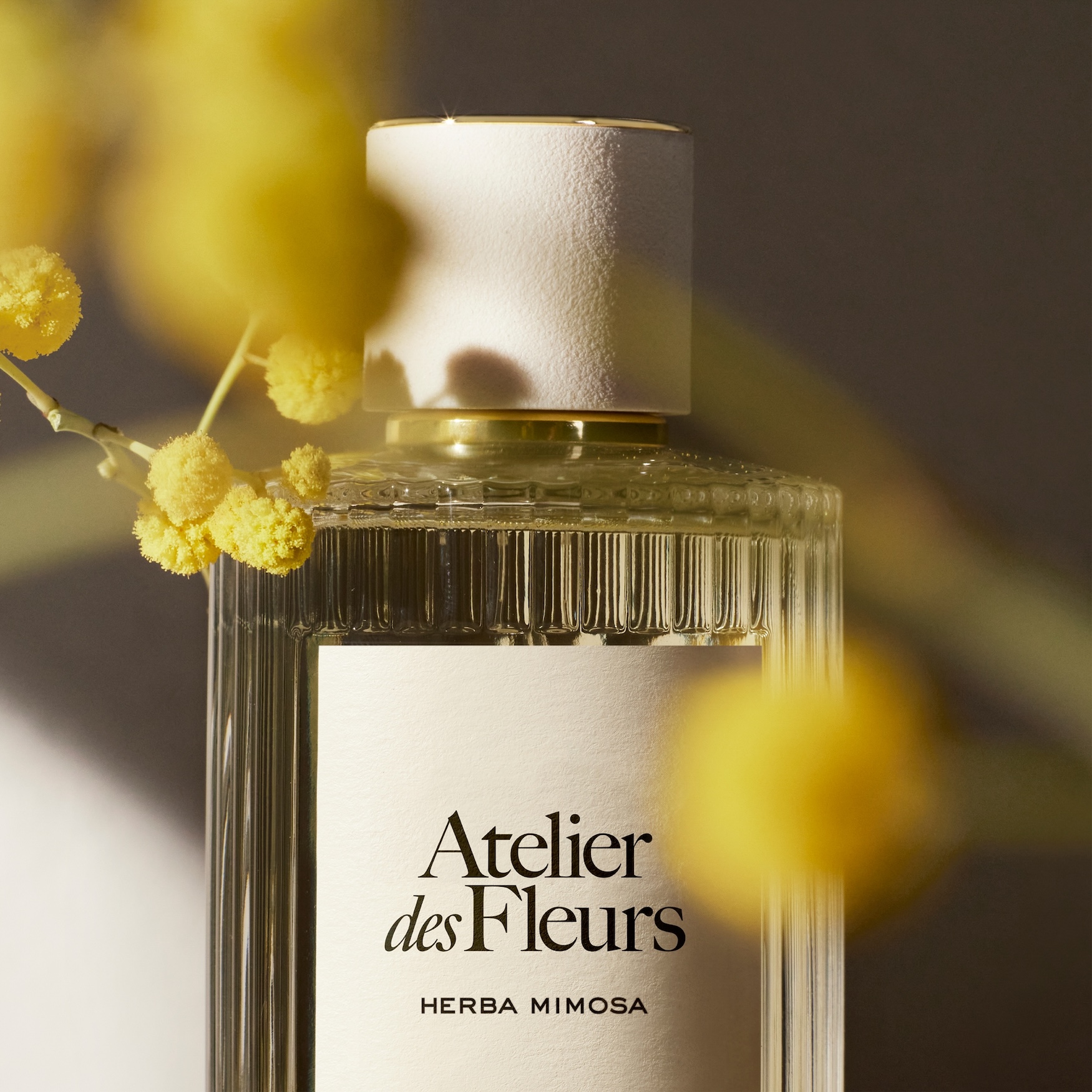 Chloé Atelier des Fleurs Herba Mimosa Eau de Parfum | Space NK