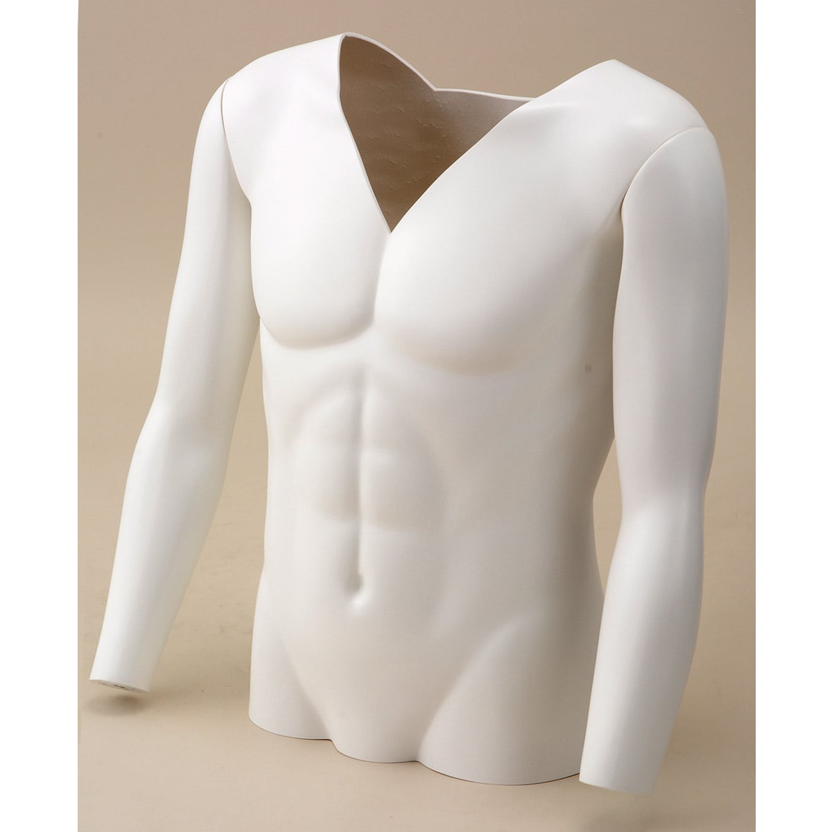 メンズ 上半身 トルソー マネキン 土台付き 2体セット store-express_61-810-41-1