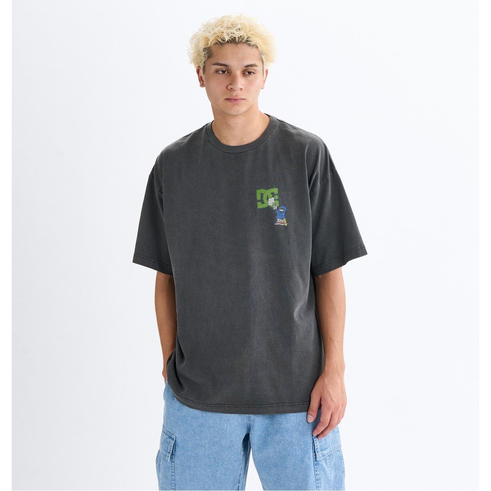 ディーシーシューズ（DC SHOES）（メンズ）グラフィティアート