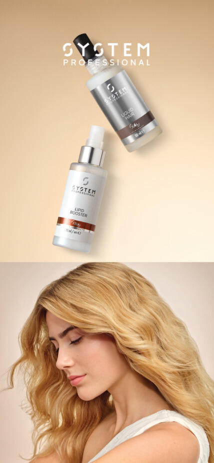 ホームページ | System Professional