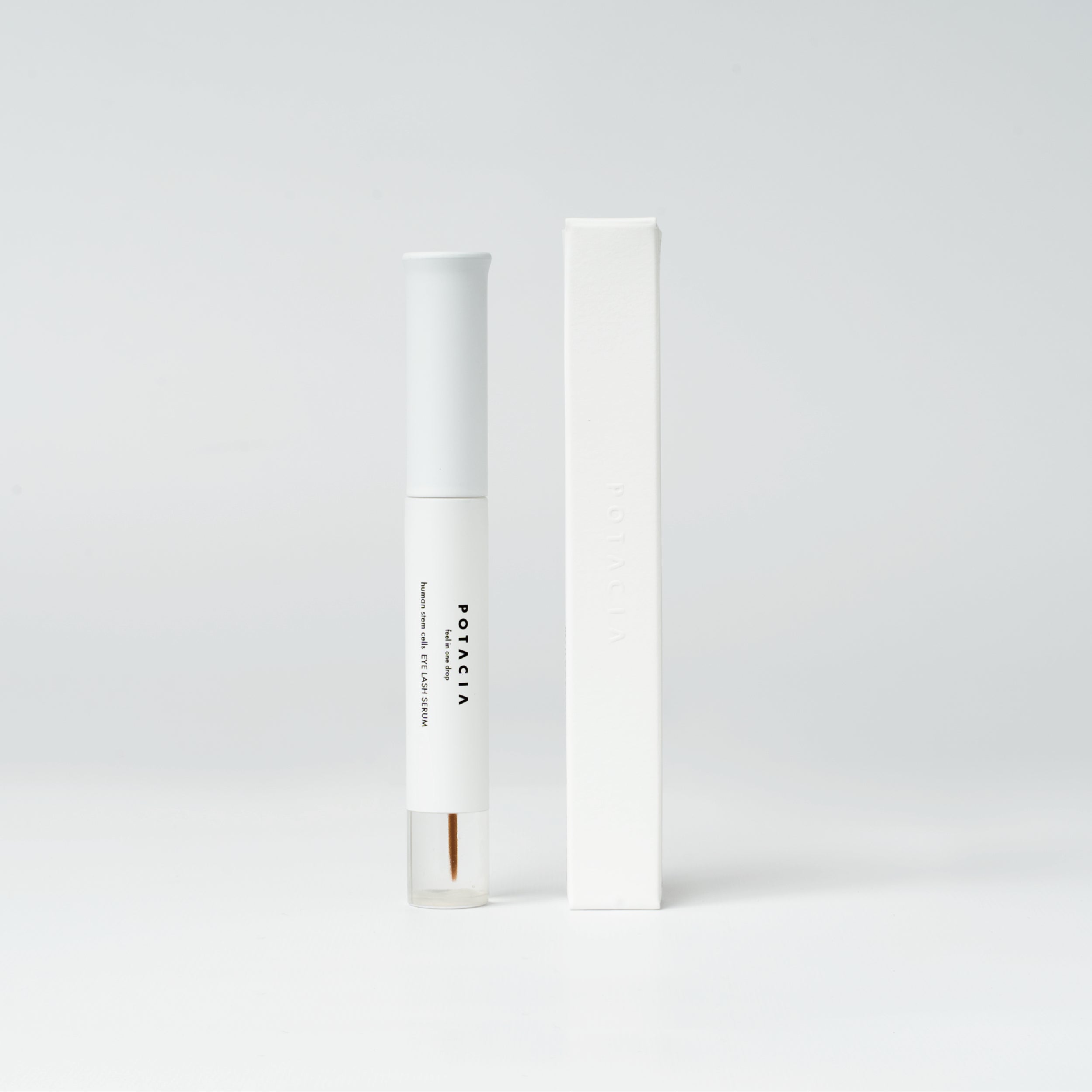 コレクション – POTACIA