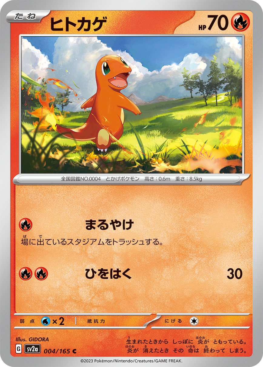 デッキを表示 | ポケモンカードゲーム公式ホームページ