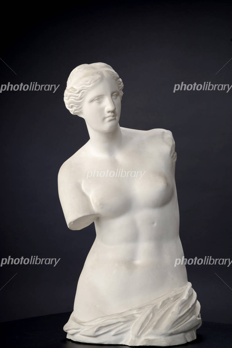 ヴィーナス石膏像 写真素材 [3125822] - フォトライブラリー