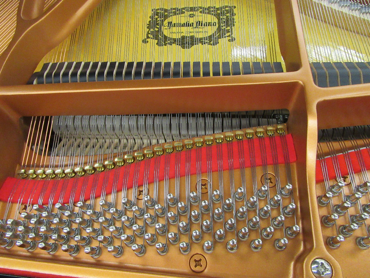 株式会社ピアノプラザ | YAMAHA C1(5542)