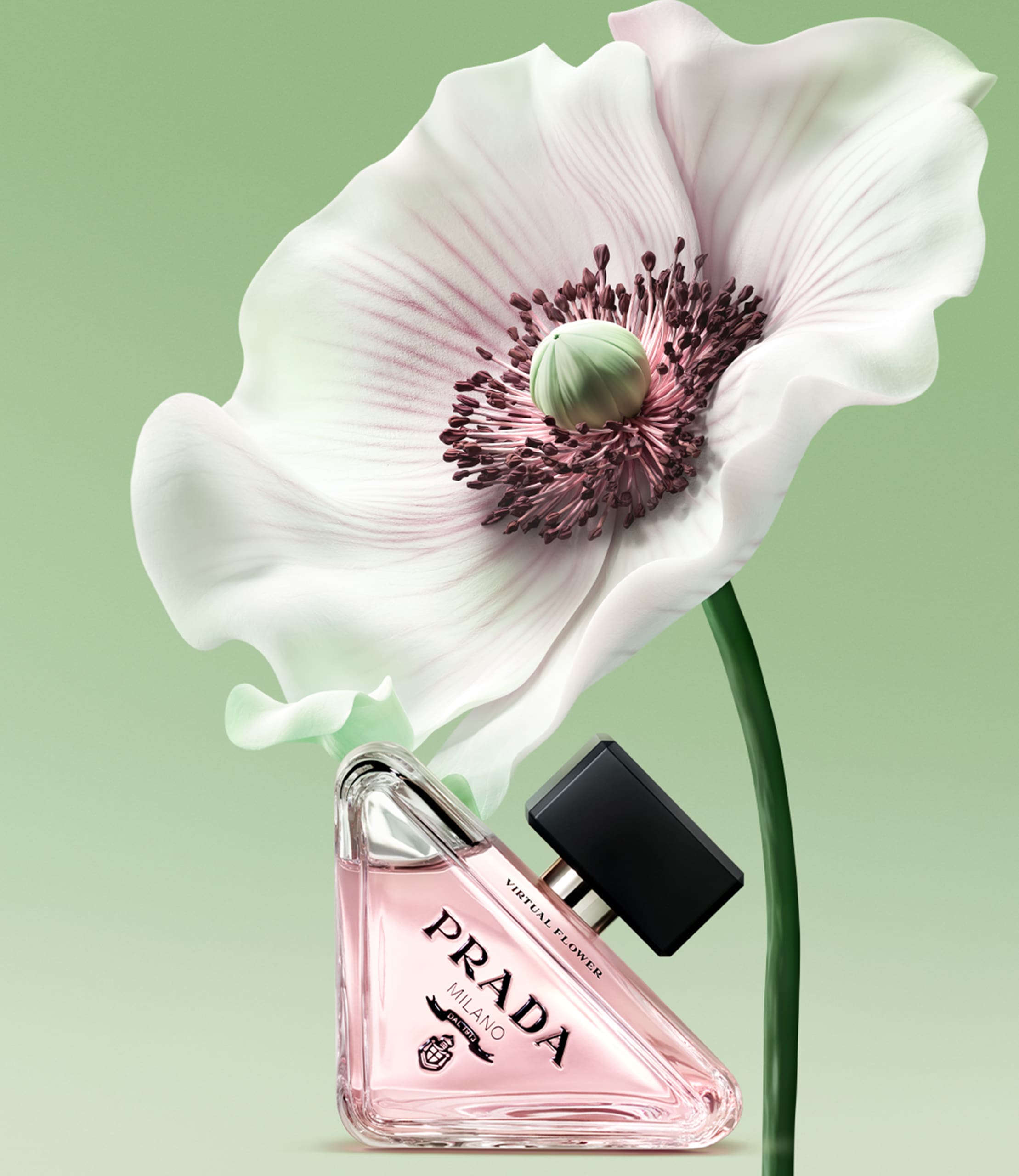 Paradoxe | PRADA