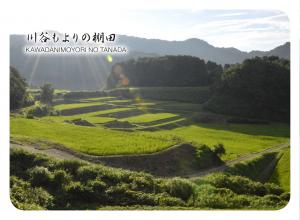 にいがた棚田カード」ができました 上越市と佐渡市の棚田カードを追加