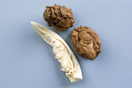 島根県：石見根付（トップ / しごと・産業 / 商工業 / 産業振興 / しま