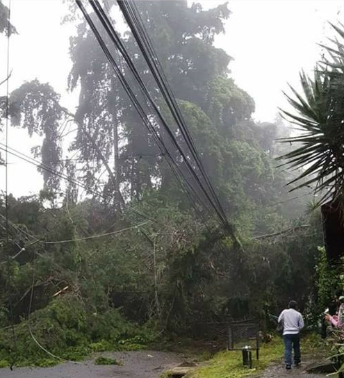 Medios regionales destacan en la cobertura de la emergencia nacional