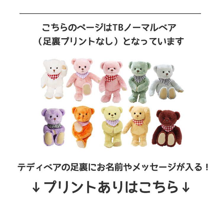 誕生日プレゼントや推し活に カラフルでかわいいテディベア