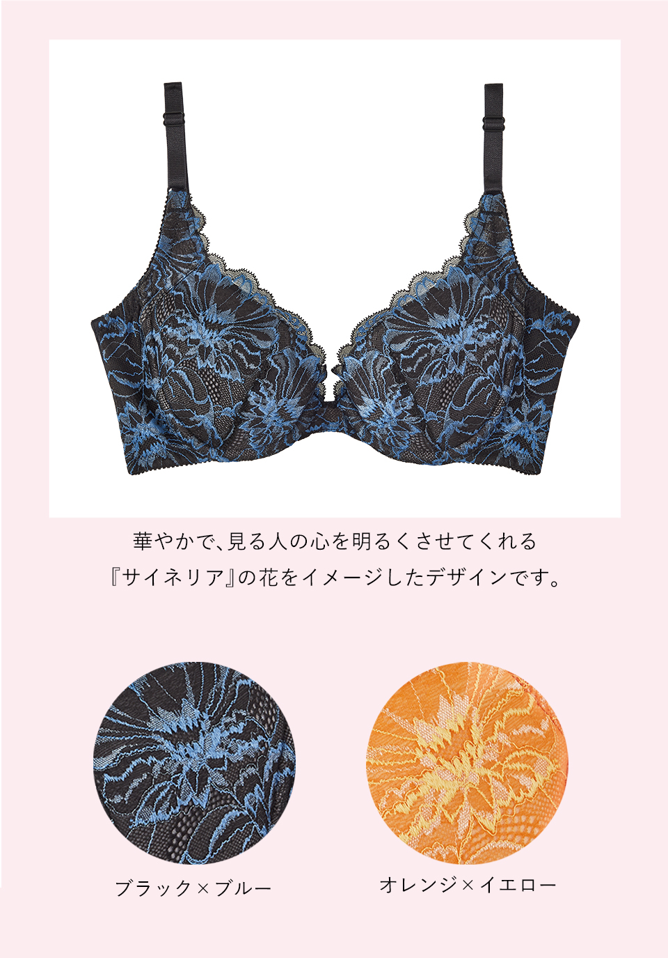 楽天市場】【30%OFFセール】【初回購入サイズ交換0円】背中すっきり
