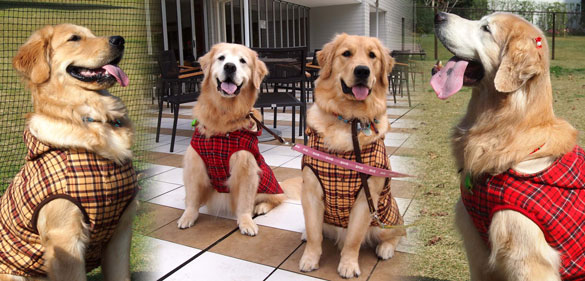 あいばろくらぶ写真館(220)