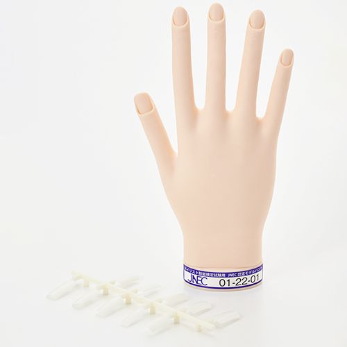 rednails web channel / ♪STモデルハンド 右手(JNEC 第1期認定モデル