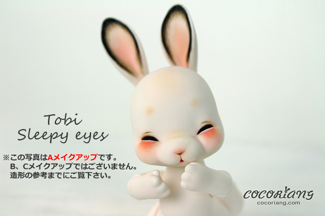 cocoriang “Tobi” 2次受注のご案内 | risubaco