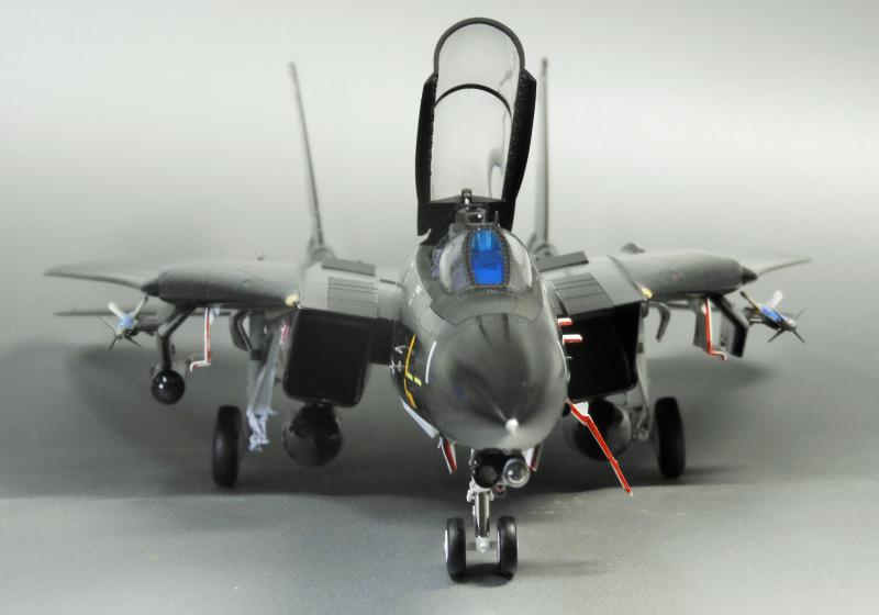 F-14D VX-9 VANDY1 （タミヤ 1/48）＞ 特集 F-14 トムキャット＞2022年