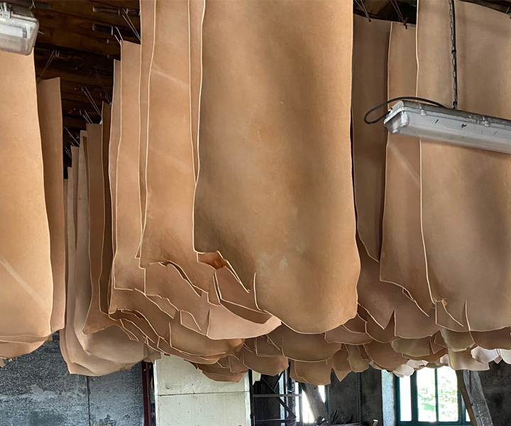 CHAMONTのフレンチサドルシリーズについてのお話 | WILDSWANS(ワイルド