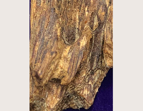 香木（伽羅・沈香・白檀）」まとめ｜創業45年の大阪梅田の宝スタンプコイン