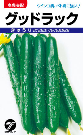 野菜 種 苗 株式会社タカヤマシード│胡瓜