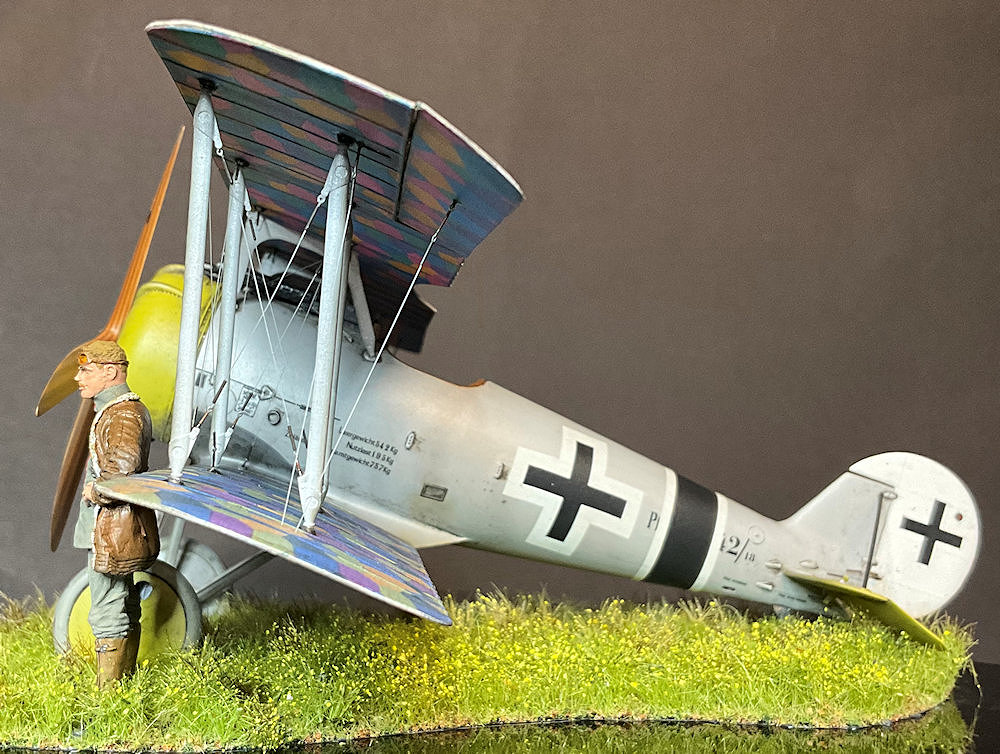 1:32nd scale Pfalz D.VIII - LSM 1/32 and Larger Aircraft Ready for