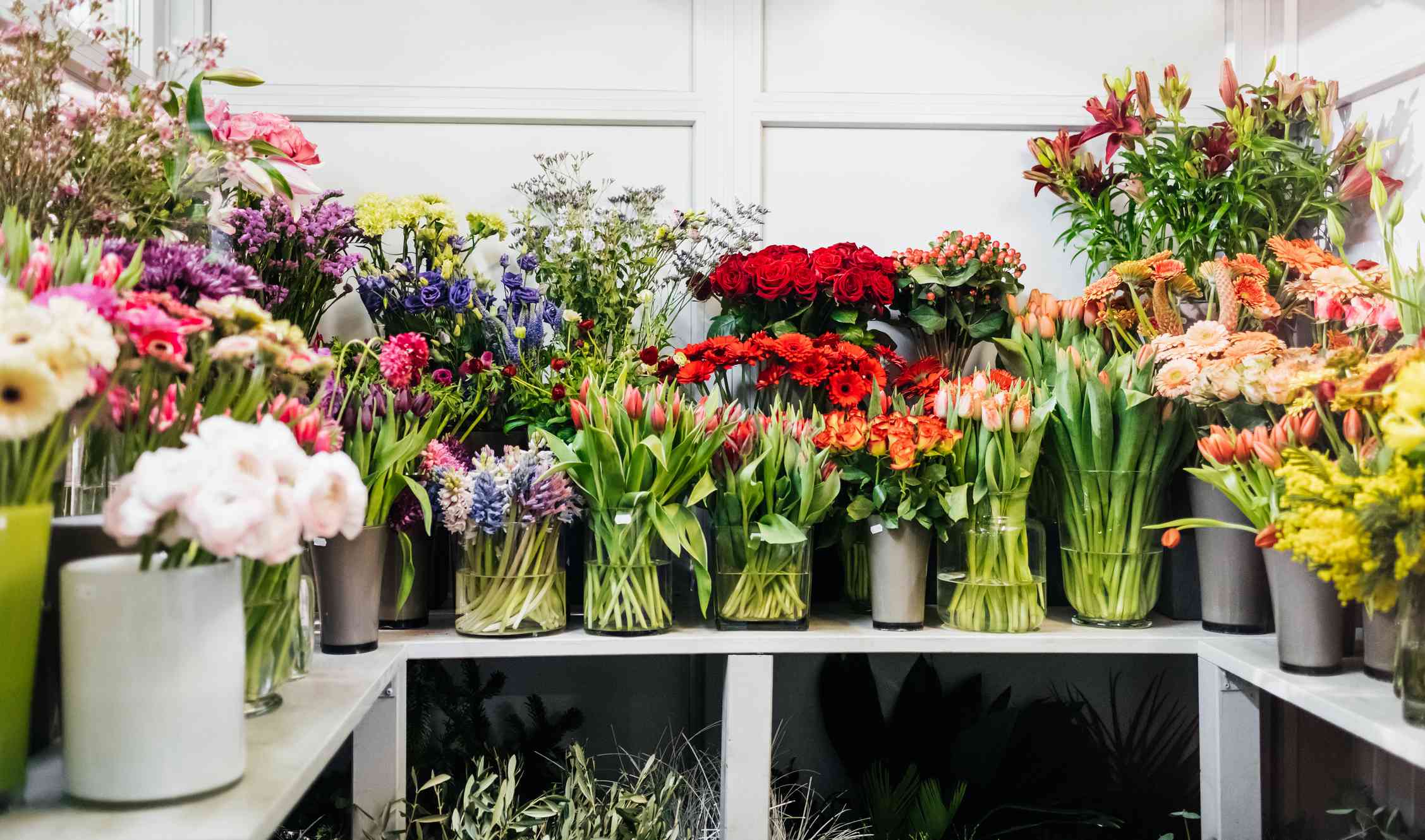 Ranunculus and Snake Plant Are the 2025 Flower and Plant of the Year