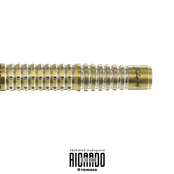 ダーツ バレル TRiNiDAD Undisputed RICARDO 浅田斉吾 選手モデル