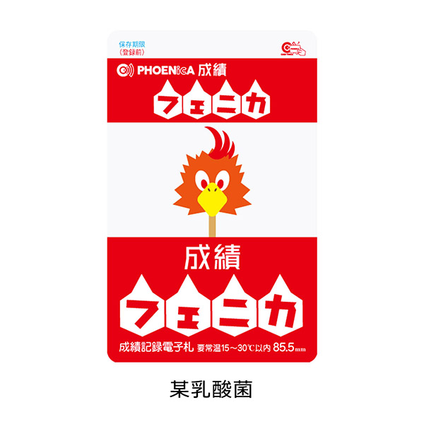 ダーツ フェニカ オンラインカード フェニックスカード PHOENIXDARTS