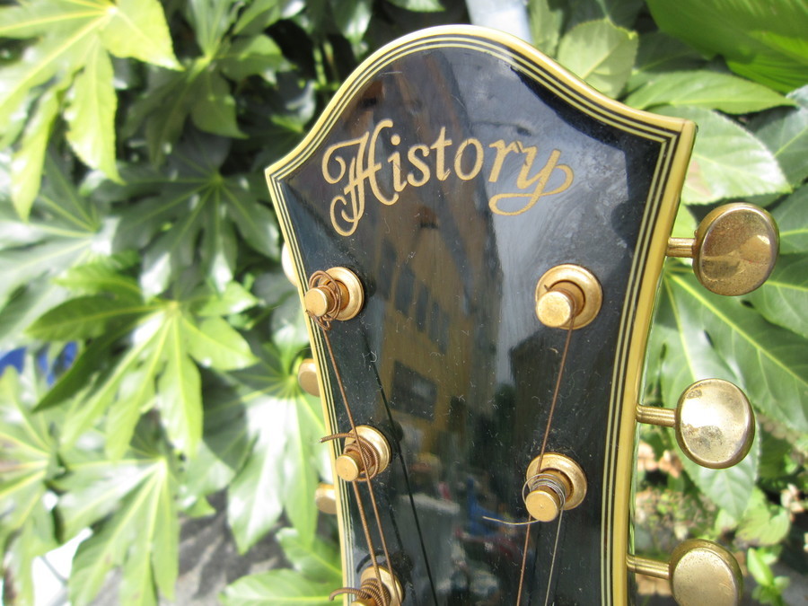 HISTORY HEAC/DBS アコースティックギター ハードケース付」【大宮店