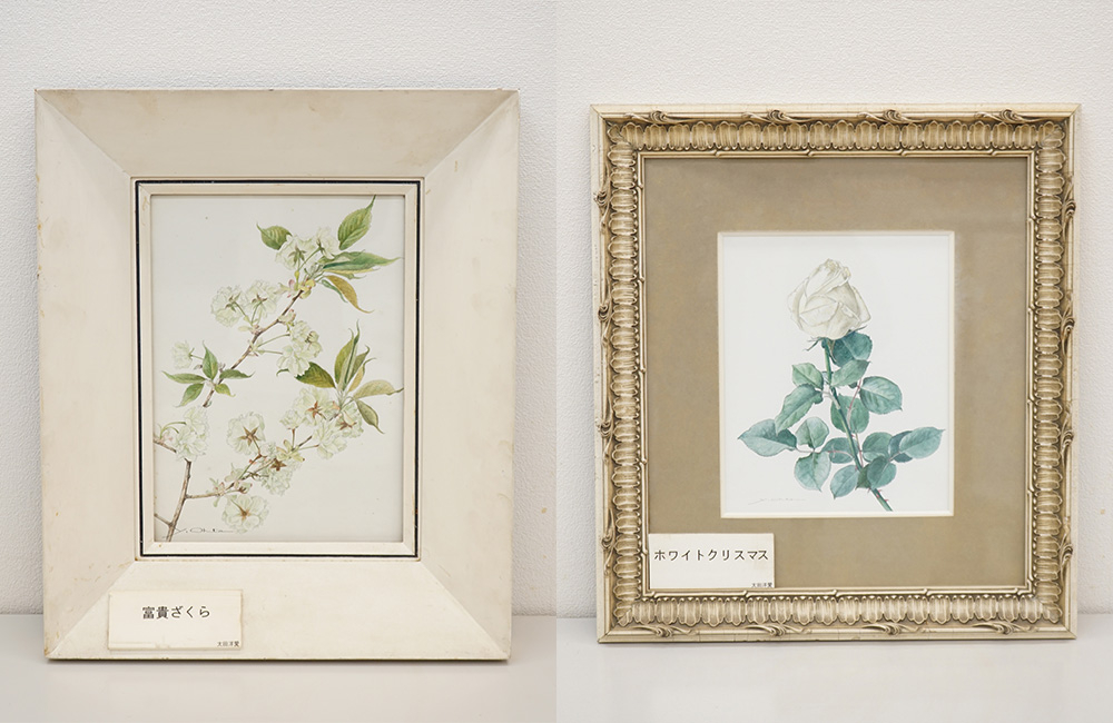 花を追い、花を描き、花に埋もれて逝った植物画家 太田洋愛氏を訪ねる