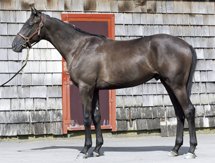 ユニオンオーナーズクラブ