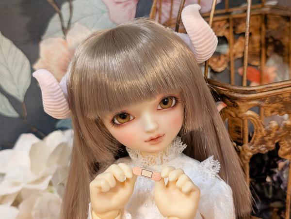 スーパードルフィー® ミディ（SDM）」ってどんな子たち？気になる方へ