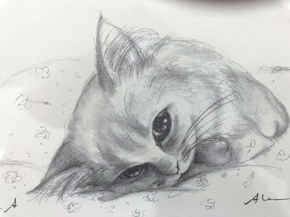 八代亜紀さんが描いた愛猫の絵、もう通うことのないスタジオに…「人柄