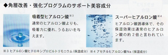 クレオリ24 コハクスキンローション 山野愛子 ヤマノ肌 山野愛子