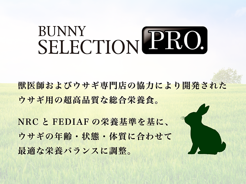 BUNNY SELECTION PRO.｜リニューアルのご案内