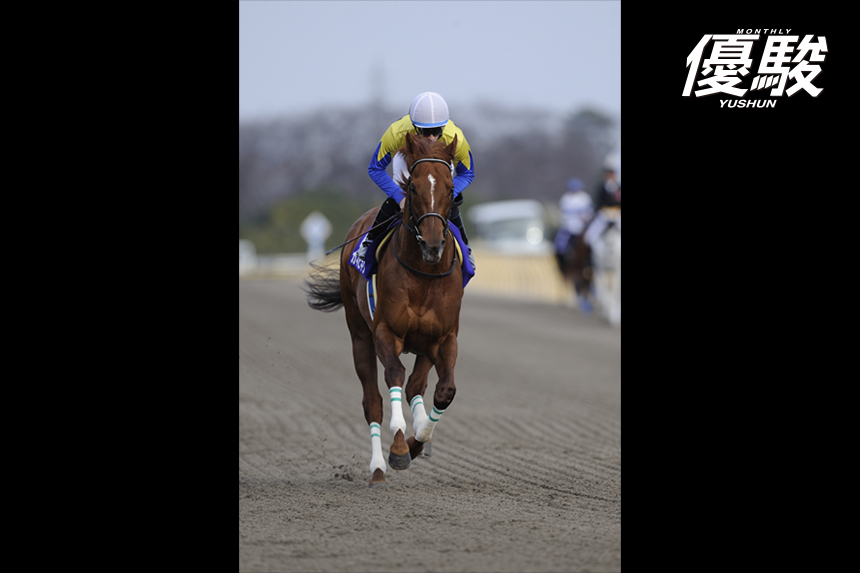 二度頂点を極めたダート王者 不屈のカネヒキリ | カネヒキリ | 優駿 WEB