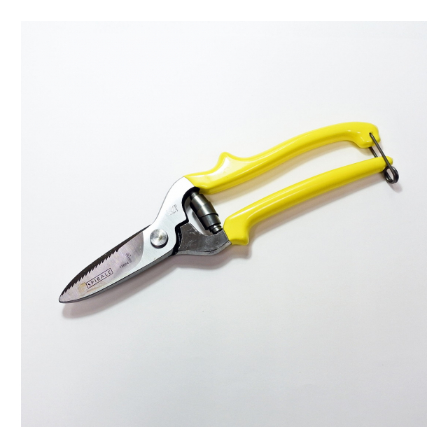 KRETZER ドイツ製ハサミ ストレート - 矢澤株式会社 [品番：1] の卸