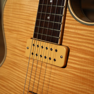 Ibanez AE 200 1989 Japan – wurst.guitars
