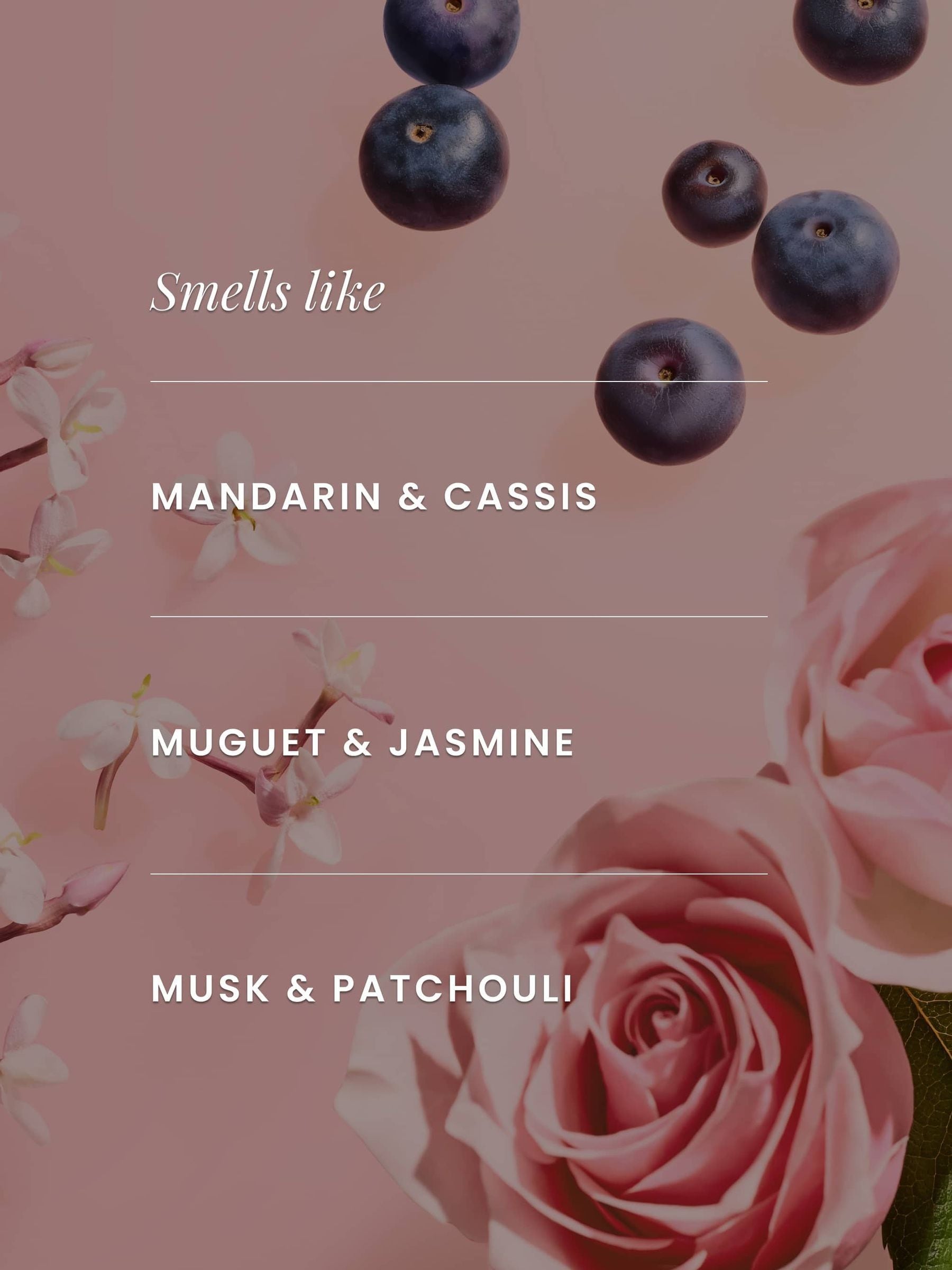 Buy 24hr Moisturising Body Lotion 236ml from the Next UK online shop