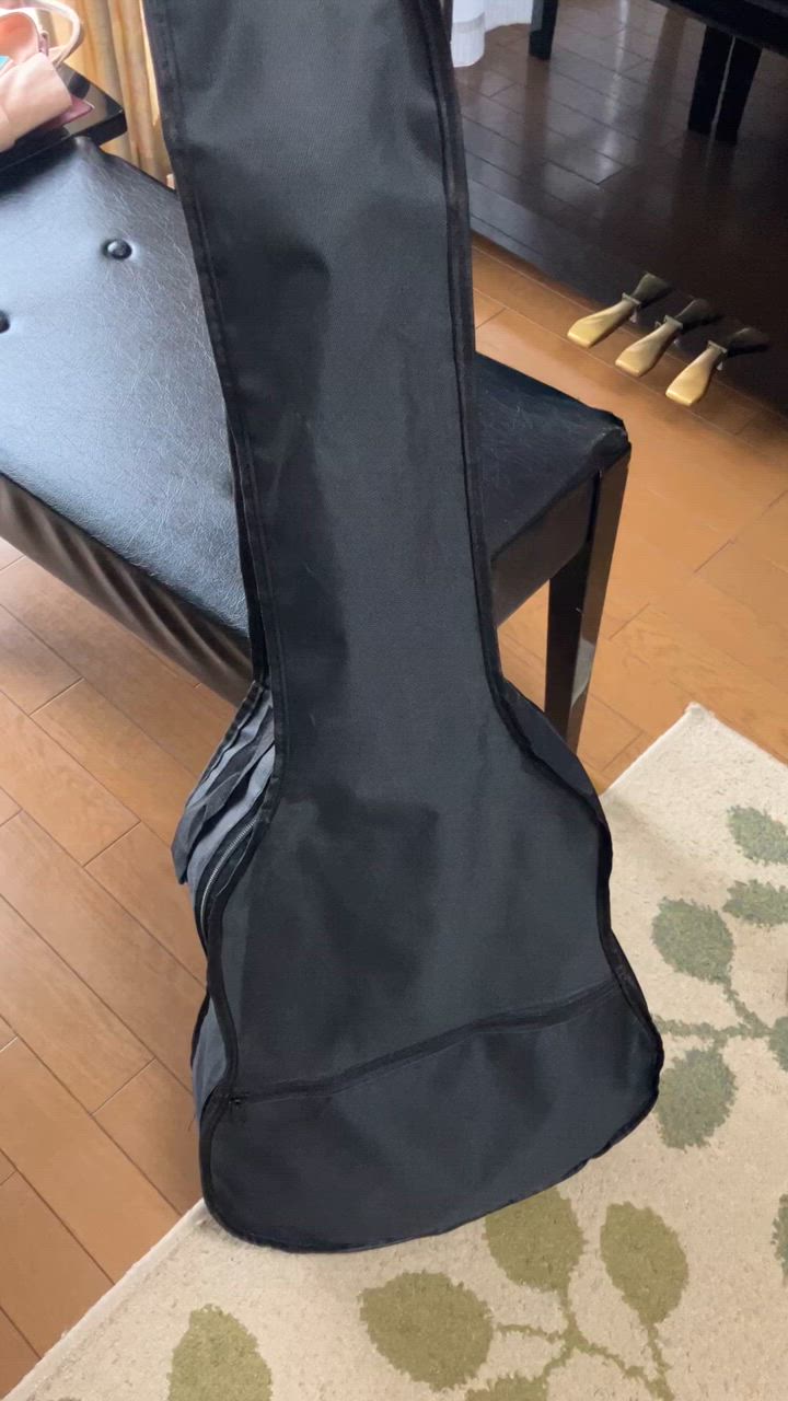 ARIA（アリア） ギターケース ARIA PB-AG アコースティックギター