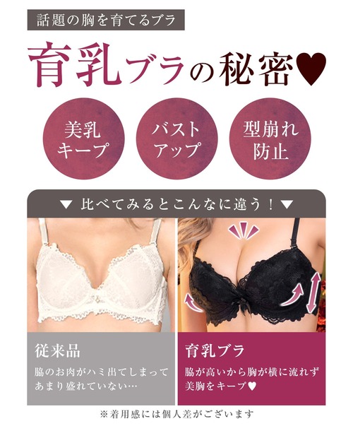 ブラジャー ショーツセット 「殿堂入り」「A65-F75サイズ」史上最強の