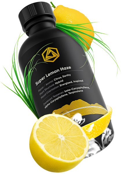 Super Lemon Haze Strain Terpene Profile | non-CDT | Abstrax Tech