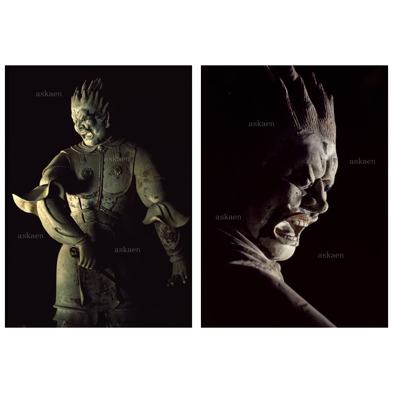 美術展ナビ 図録・グッズSHOP / 【受注生産】半切フォトパネル［薬師寺