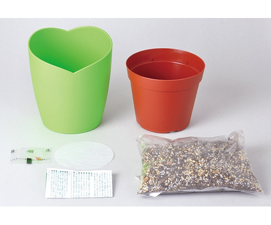 取扱を終了した商品です］64-8281-90 みつかる四葉クローバー栽培