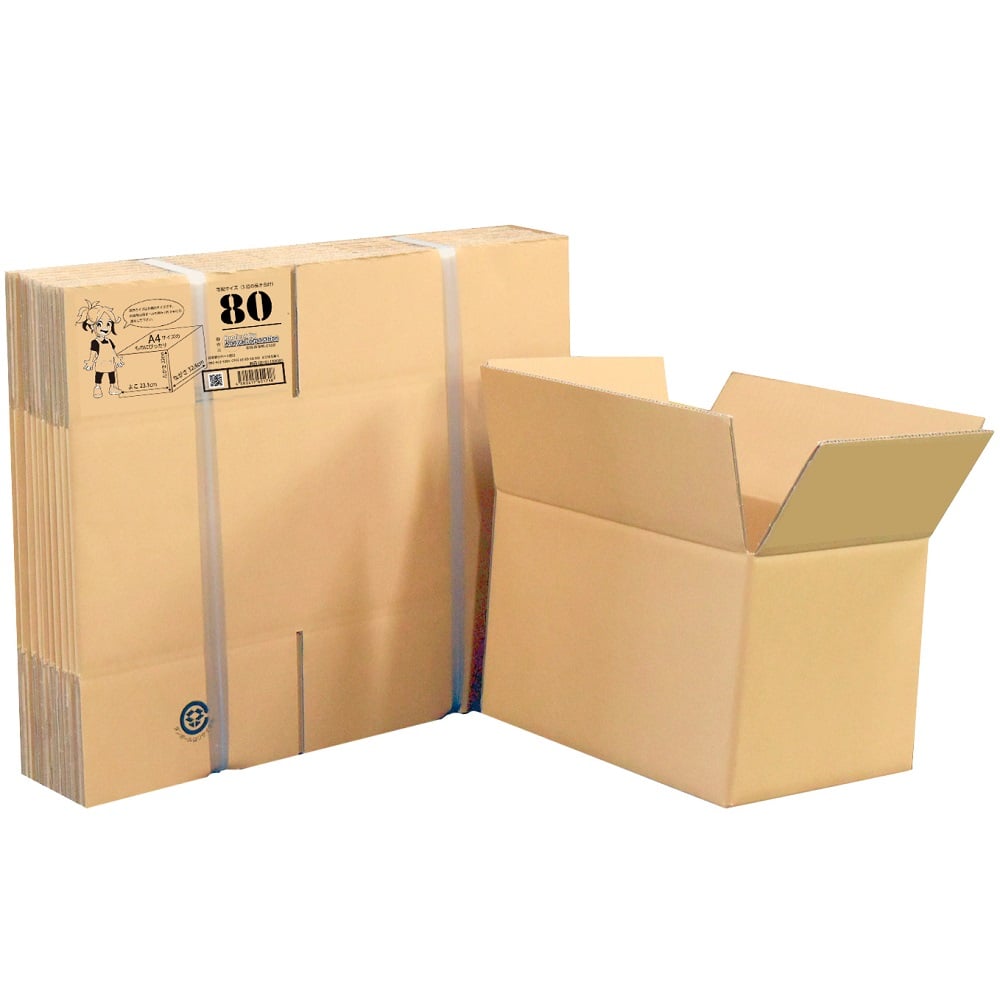 65-3905-25 段ボール 80サイズ 20枚入 01150081 【AXEL】 アズワン