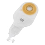 8-1593-06 イレファイン®（単品系装具）Dキャップ30 10枚 16991 【AXEL